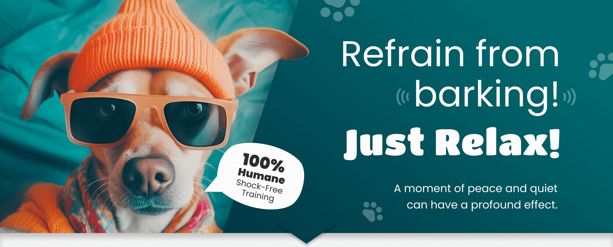 Calm dog indoors representing humane and stress-free bark control.